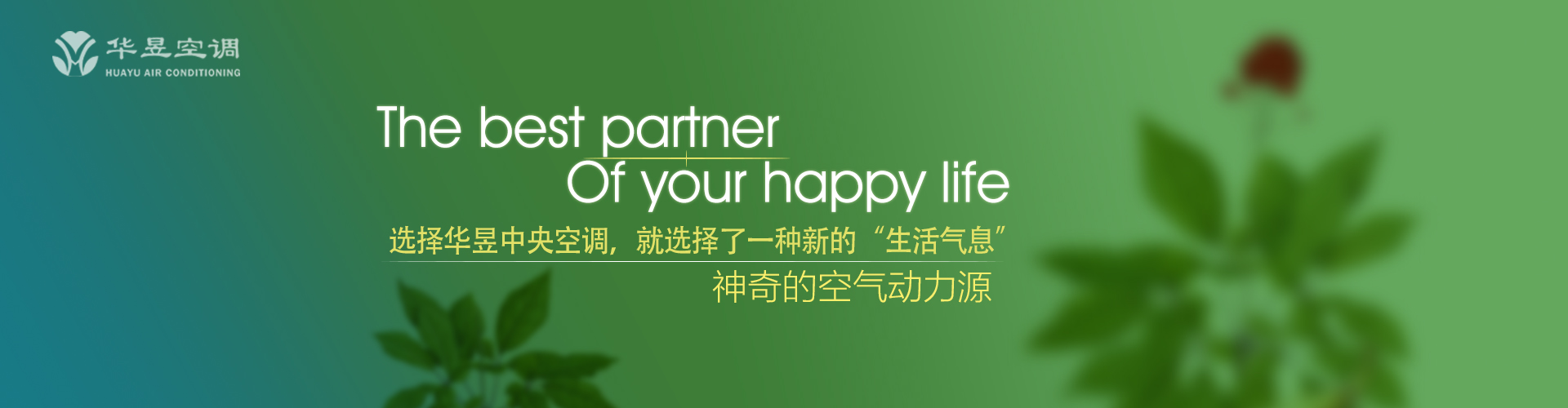 操刀必割网